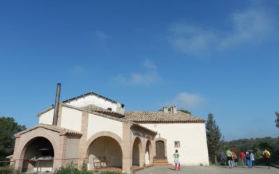 Ruta 2 -Almunia-Ermita de la Piedad – Almunia